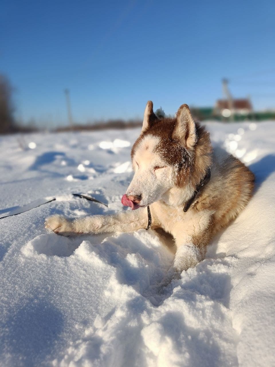 Снежный, но теплый день